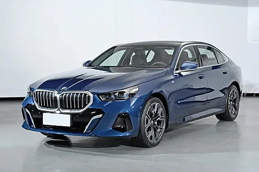 Доводчики дверей BMW 5 (Brilliance)