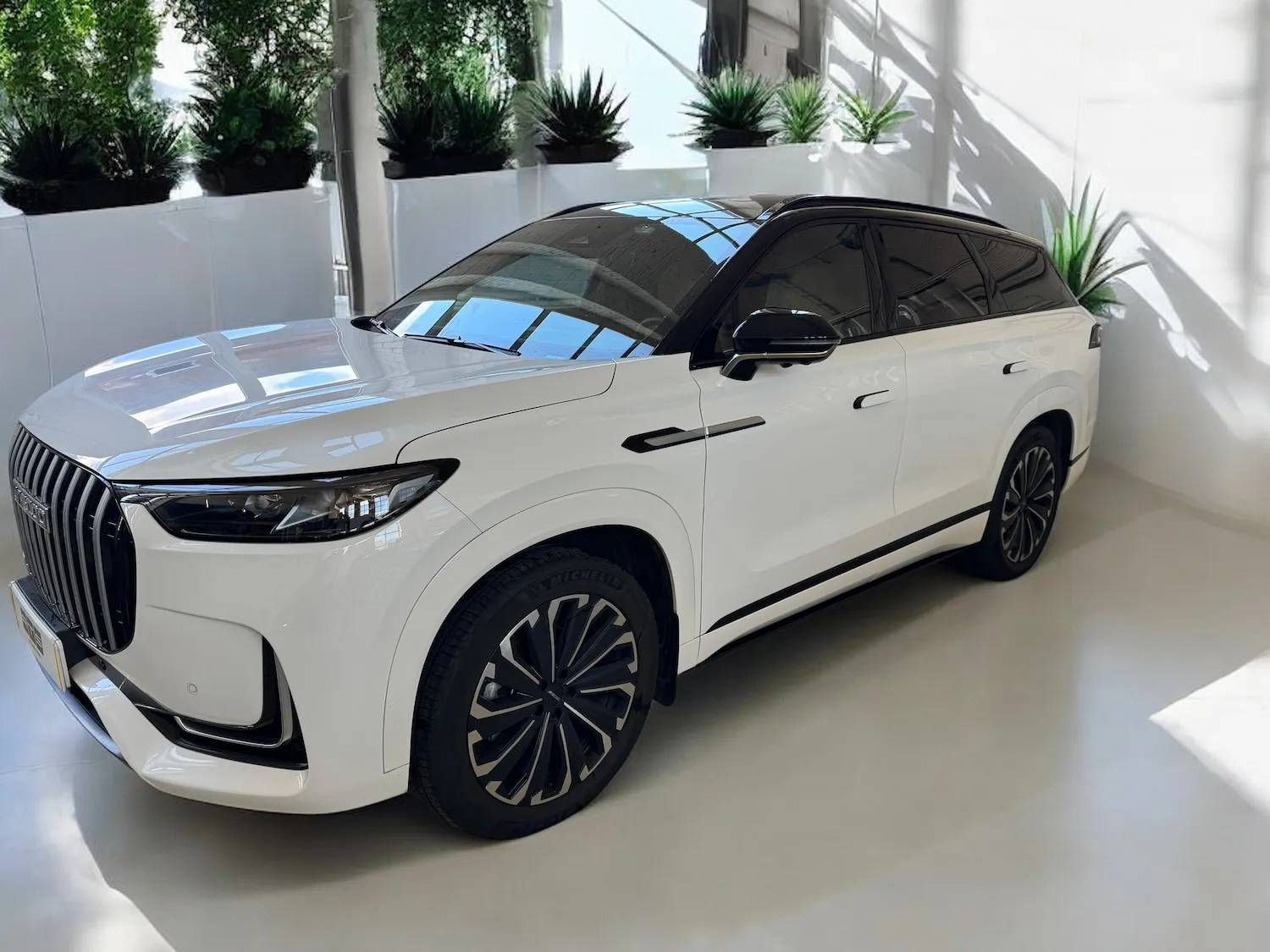 Электрические выдвижные пороги ats для jaecoo j8