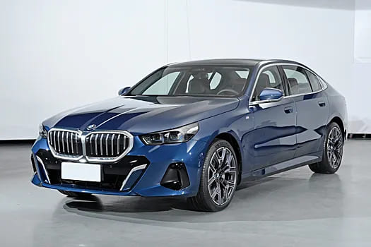Доводчики дверей BMW 5 (Brilliance)