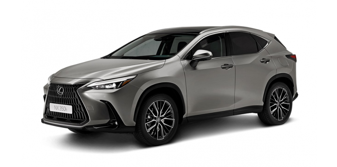 Доводчики дверей Lexus NX (FT02-501)