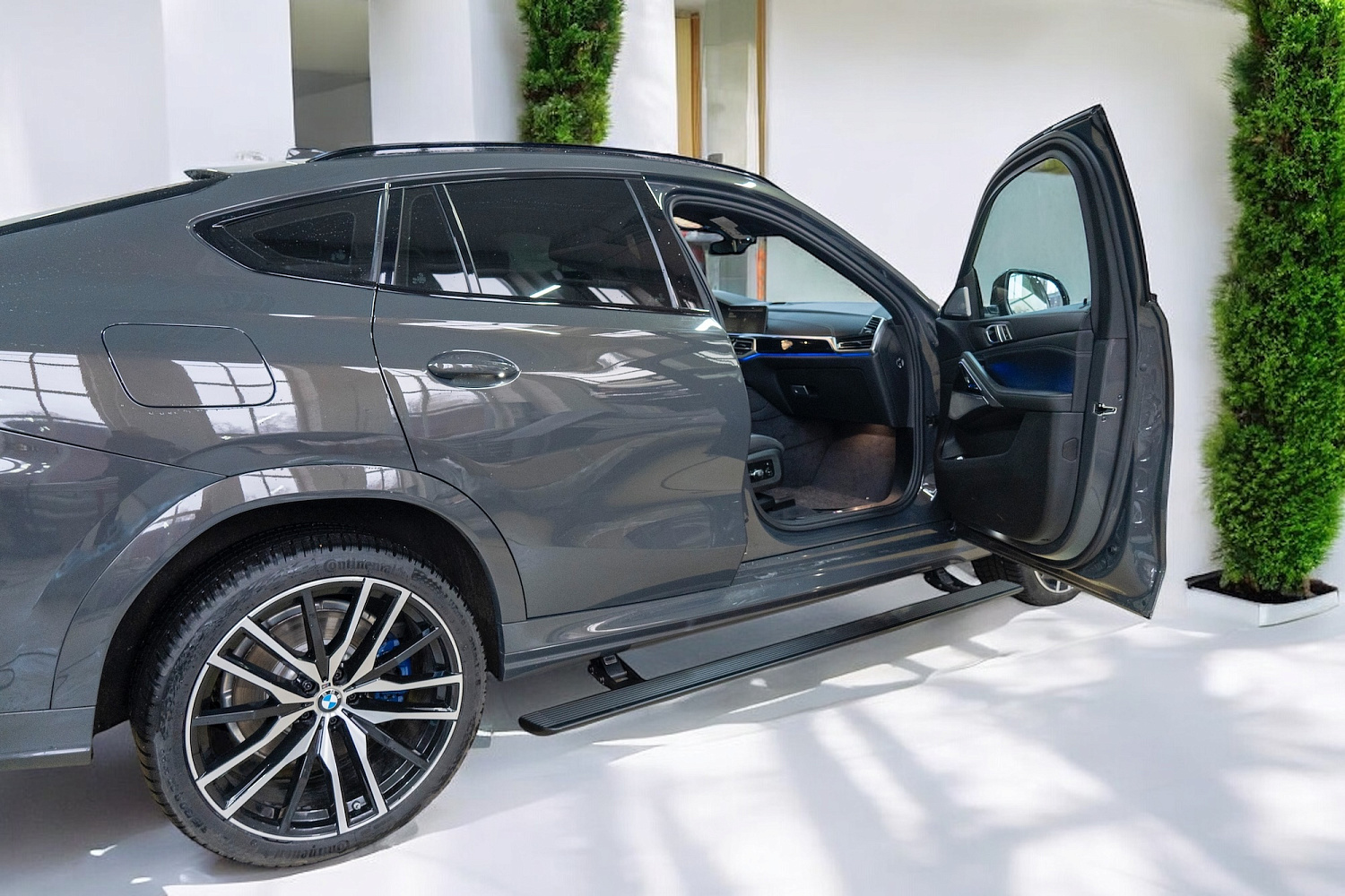 Выдвижные пороги ATS BMW X6 (G06) рестайлинг