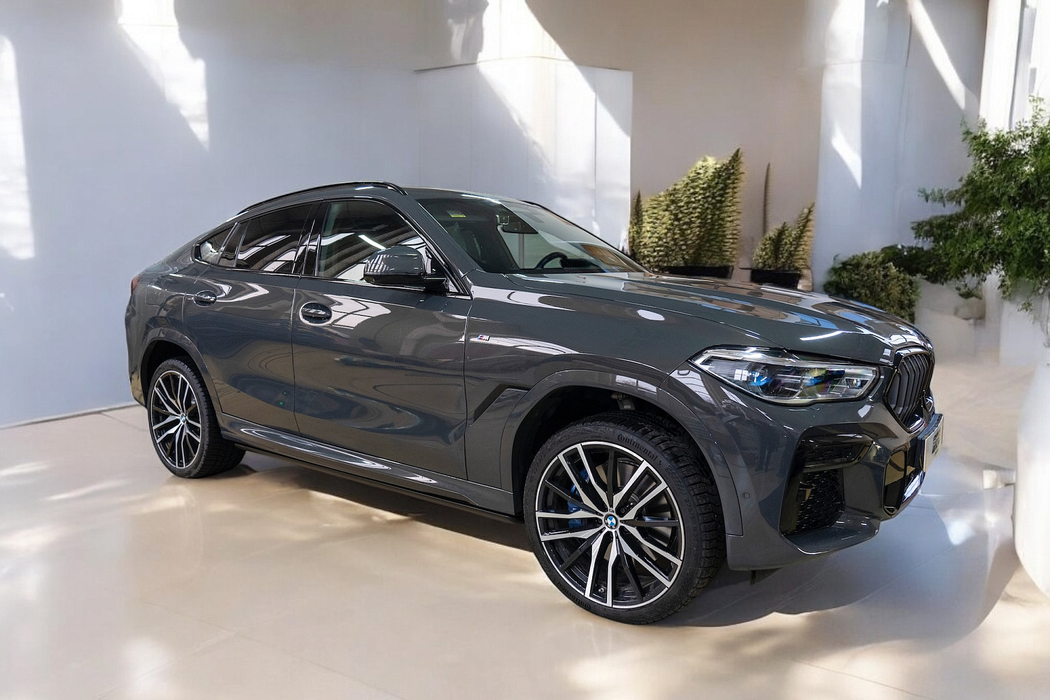 Выдвижные пороги ATS BMW X6 (G06) рестайлинг