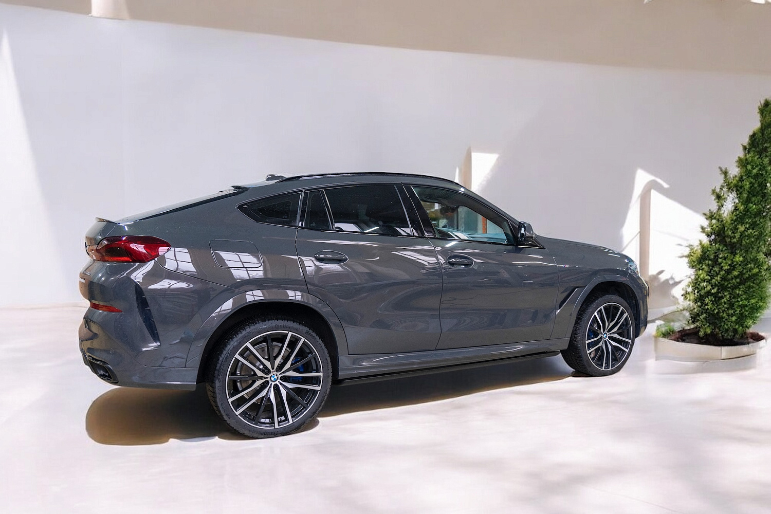 Выдвижные пороги ATS BMW X6 (G06) рестайлинг